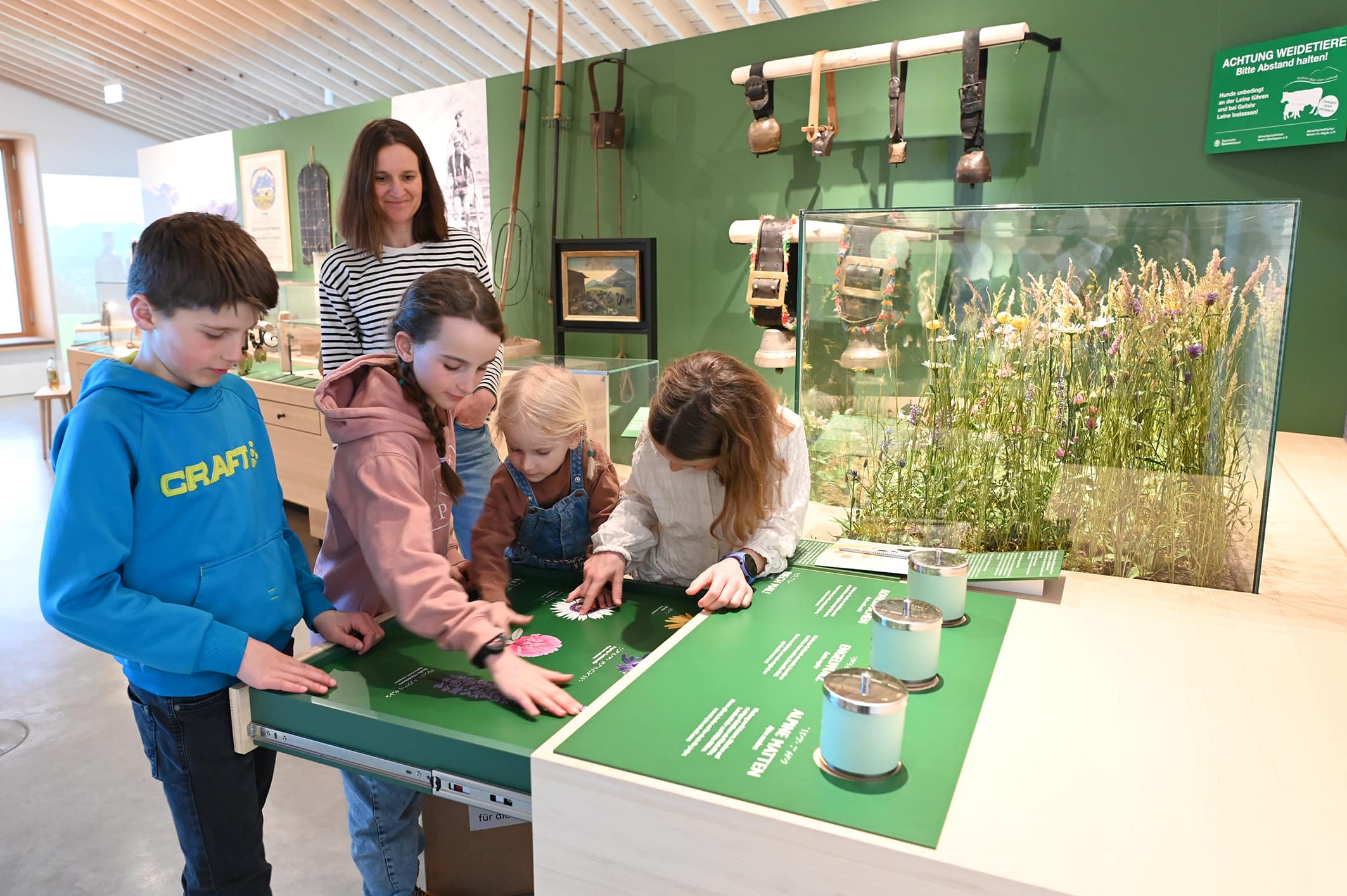 Discovering mountain herbs and plants with all the senses.