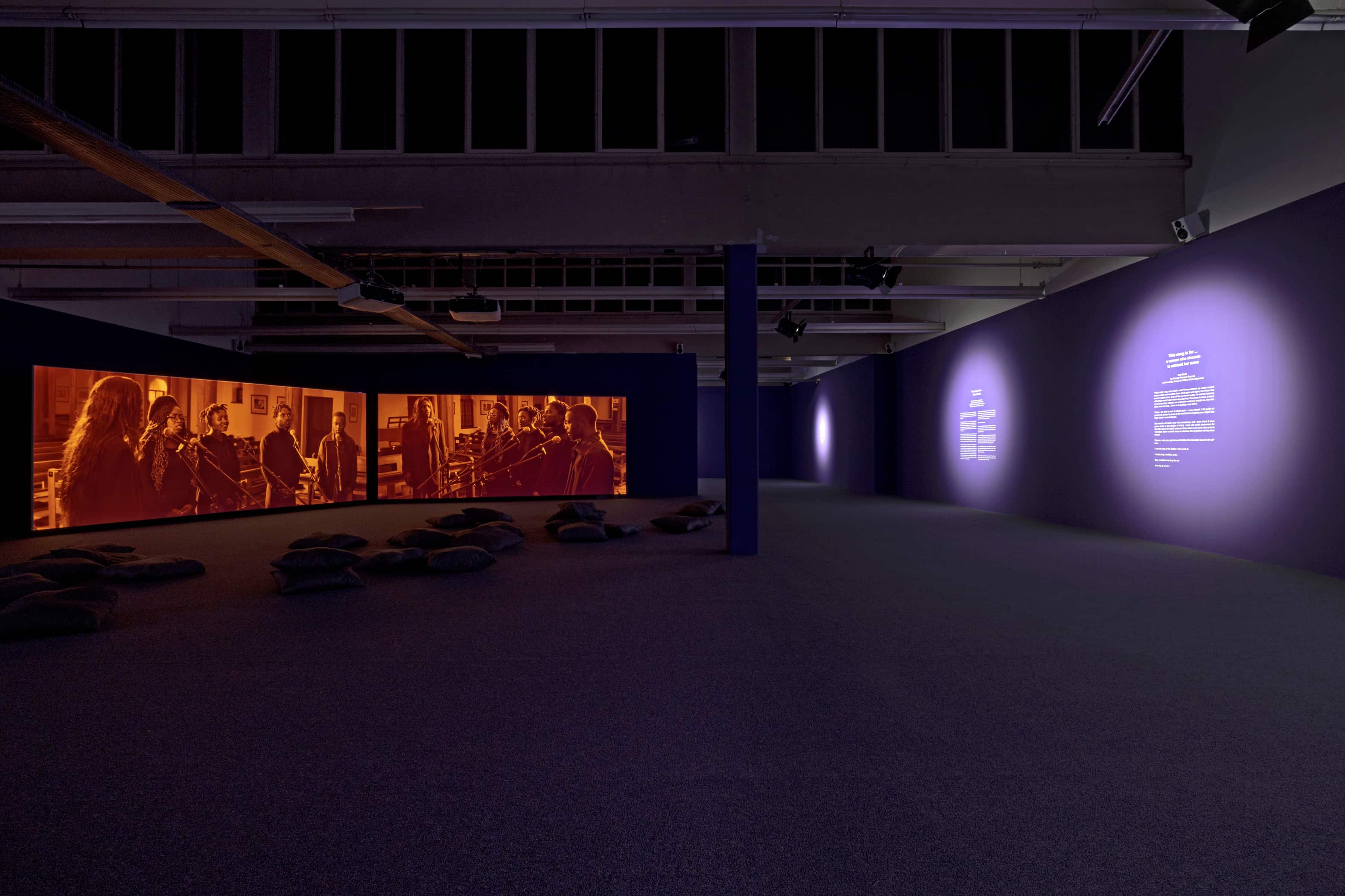 Gabrielle Goliath installation.